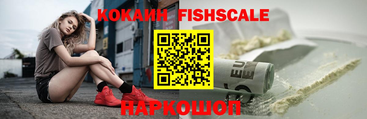 Кокаин Fish Scale  COCAIN Fish Scale  COCAIN  сколько стоит  Братск 