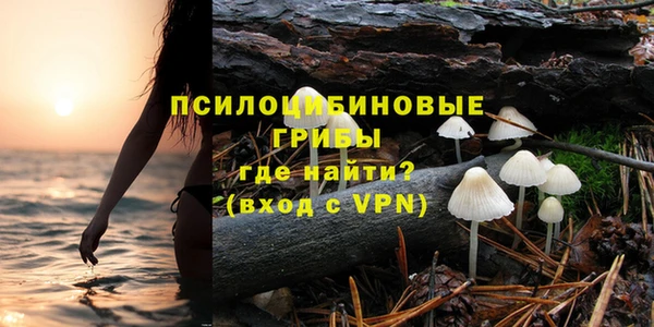 ALPHA PVP Лагань