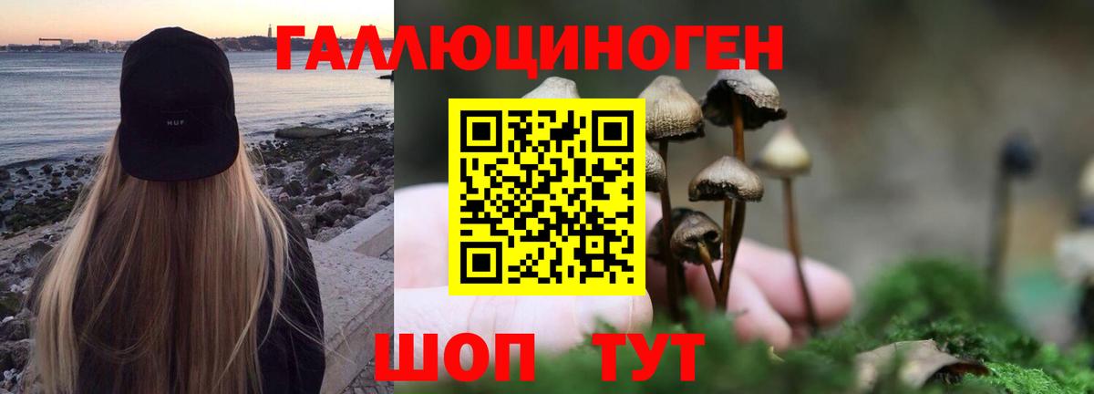 Псилоцибиновые грибы прущие грибы  Братск  где найти   Псилоцибиновые грибы Magic Shrooms 